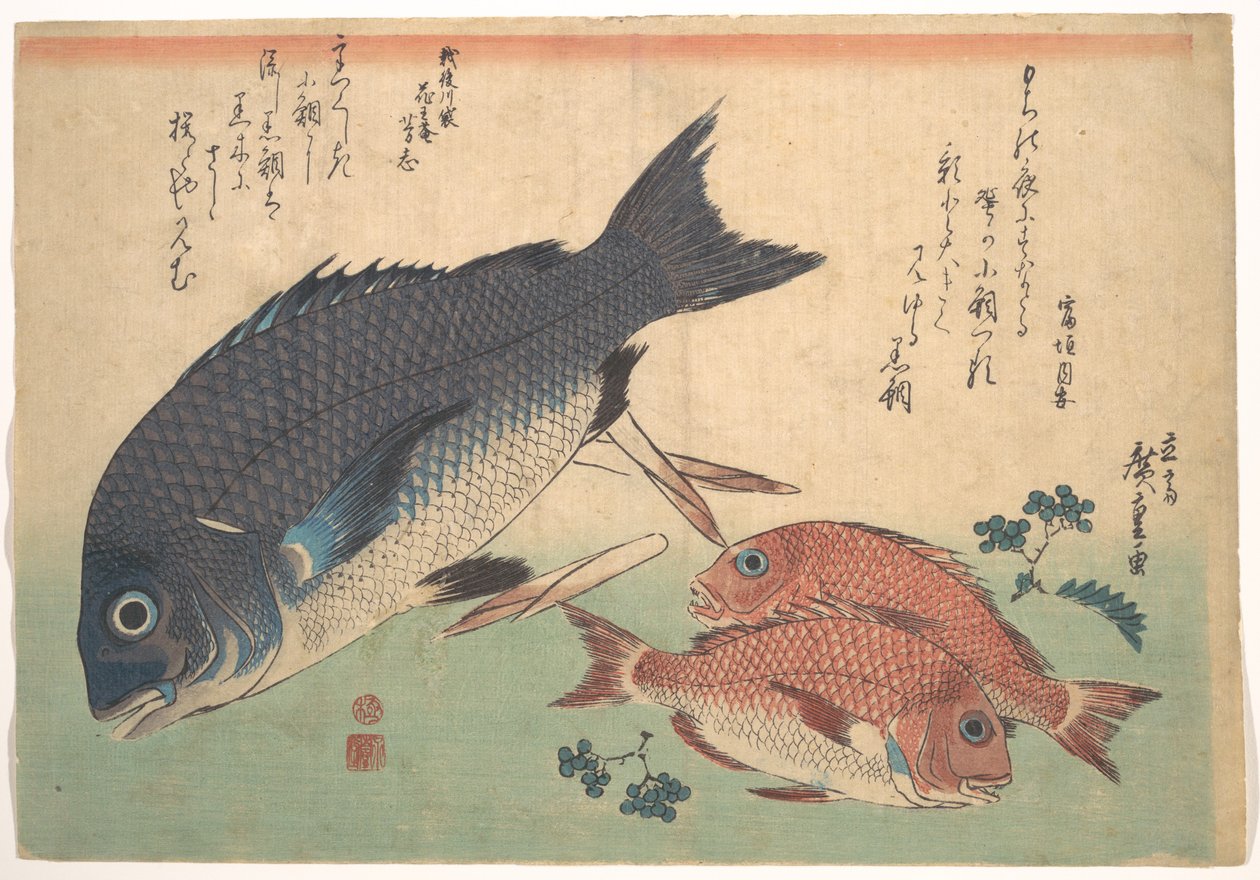 『魚尽くし』シリーズより、「黒鯛と鯛の筍と山菜添え」 作： 歌川広重