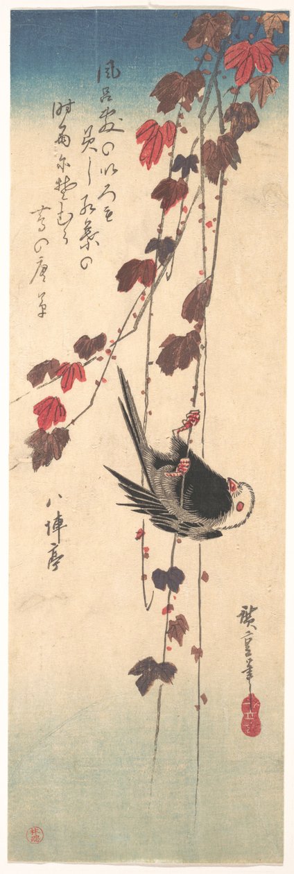 秋のツタに止まるオオハシヒガラ 作： 歌川広重