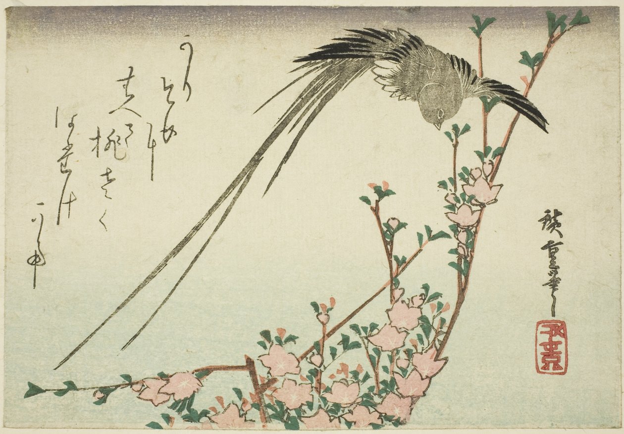 長尾鳥と桃の花 作： 歌川広重