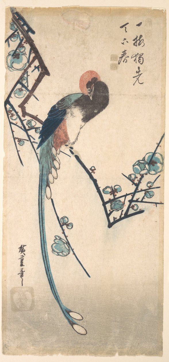 長い尾の鳥 作： 歌川広重
