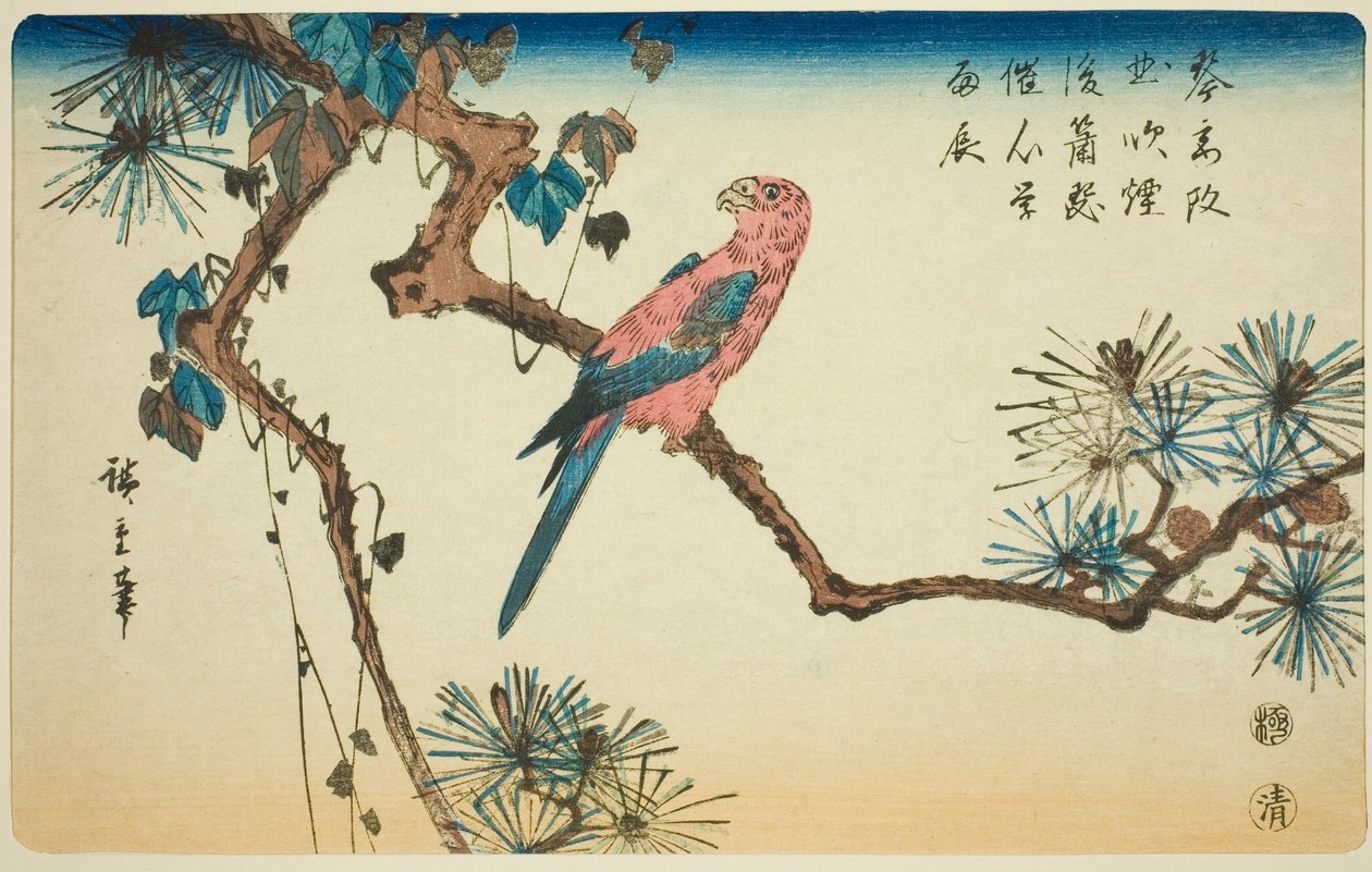 松の枝にコンゴウインコ 作： 歌川広重