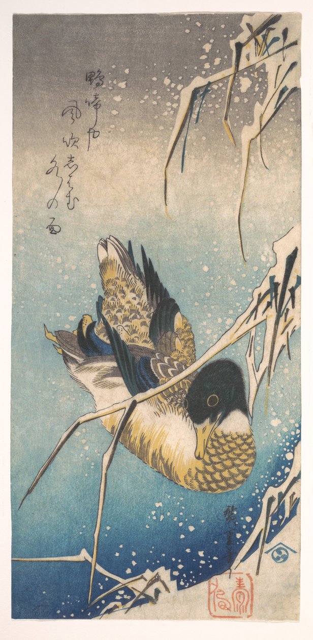 マガモと雪に覆われた葦 作： 歌川広重
