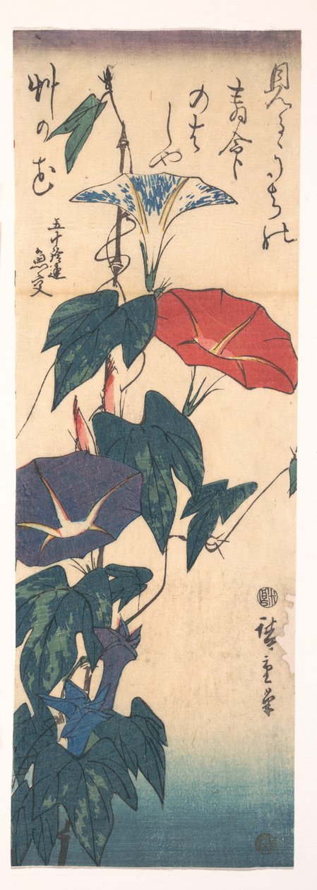 Prunkwinden 作： 歌川広重