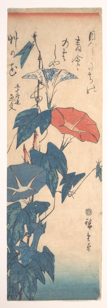 Prunkwinden 作： 歌川広重