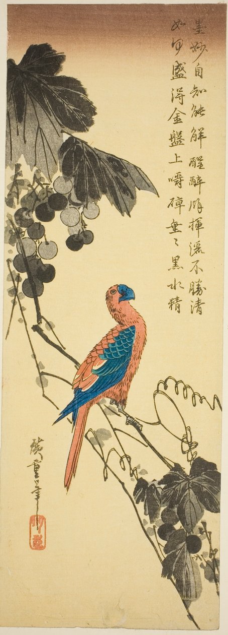 ブドウのつるのオウム 作： 歌川広重