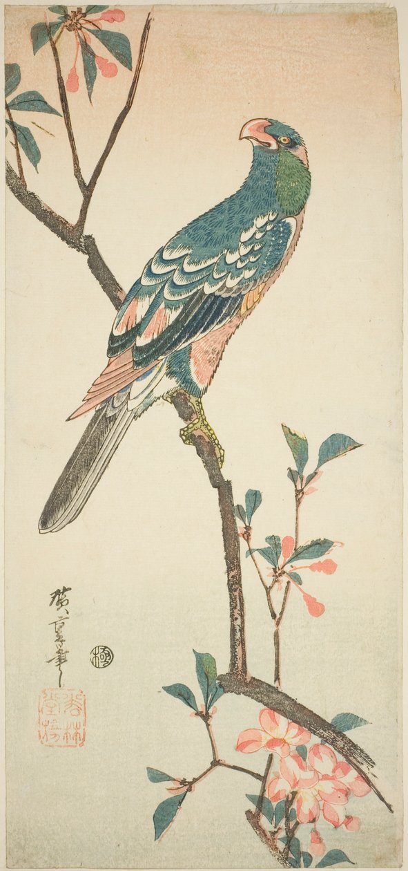 開花枝のオウム 作： 歌川広重