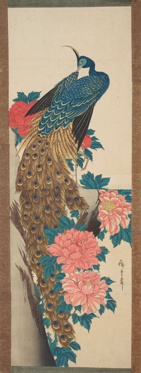 孔雀と牡丹の花 / 牡丹と孔雀 作： 歌川広重