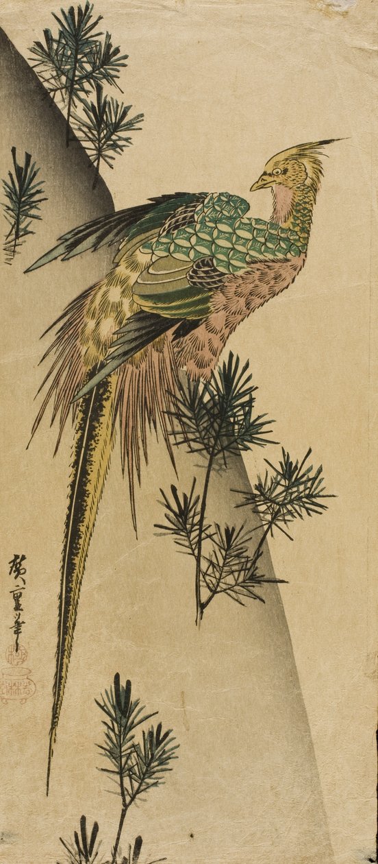 松の若芽の間のキジ 作： 歌川広重