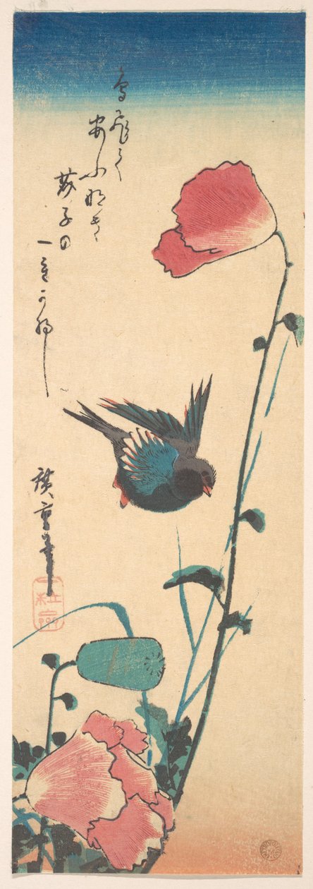 Mohn und Spatz 作： 歌川広重
