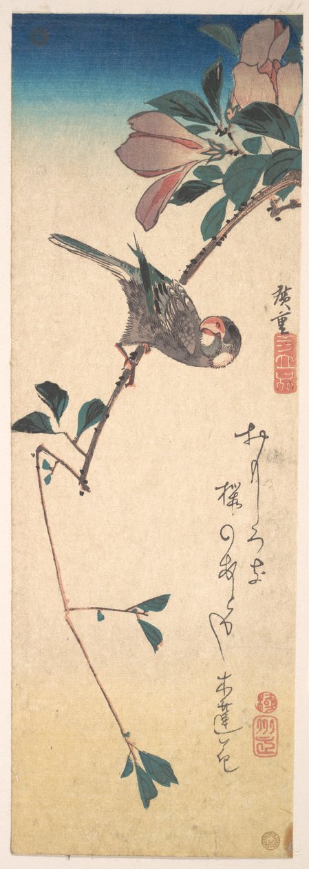 Purpurmagnolie und Hornvogel 作： 歌川広重