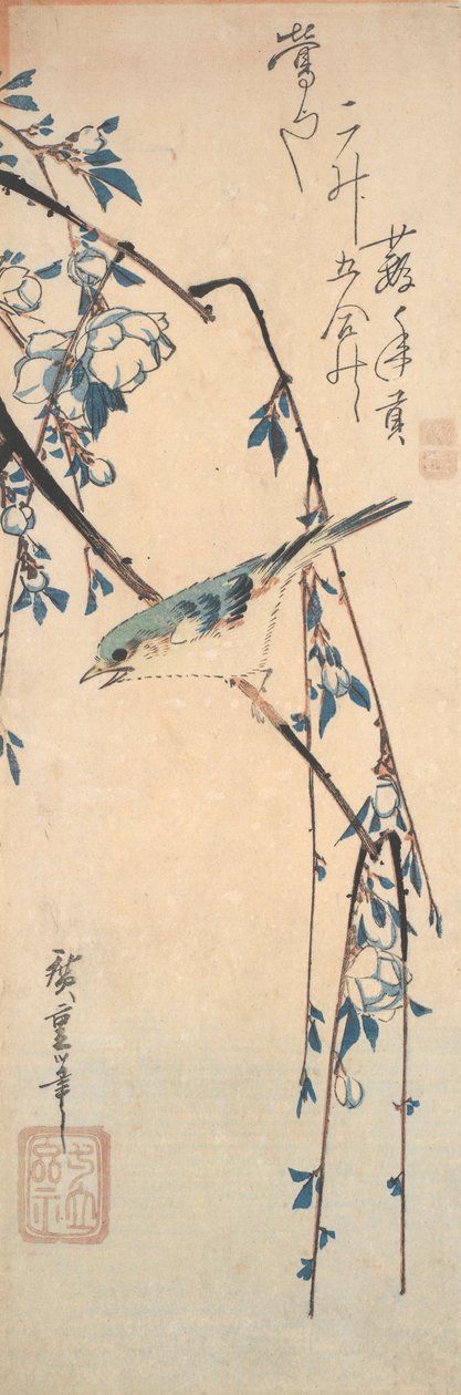 桜の枝に赤いフリルブルーテイル 作： 歌川広重