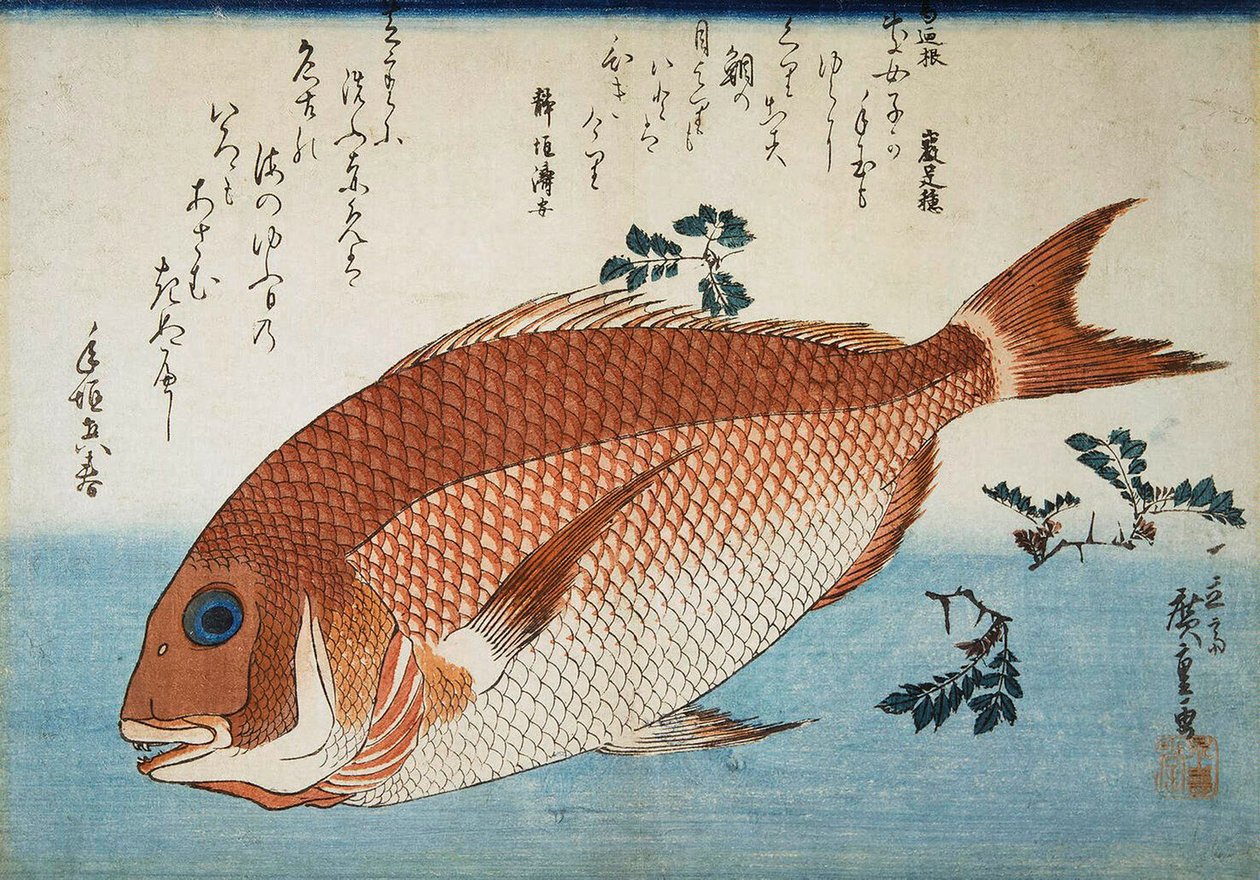 マダイ、1832-1834。 作： 歌川広重
