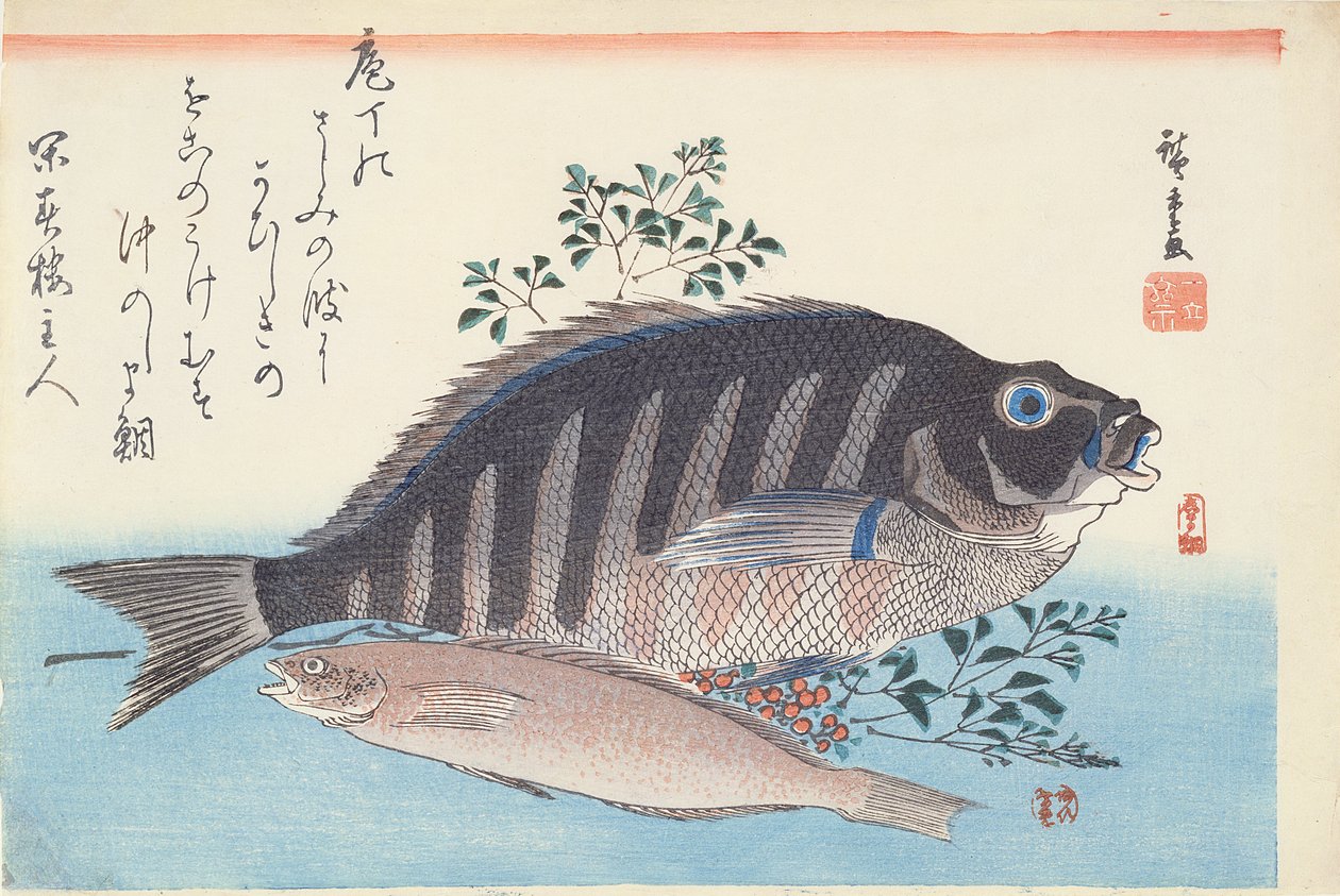 島田と愛名、シリーズ「大魚」、歌川校、c。 1840-42（紙に木版の手彩色印刷） 作： 歌川広重