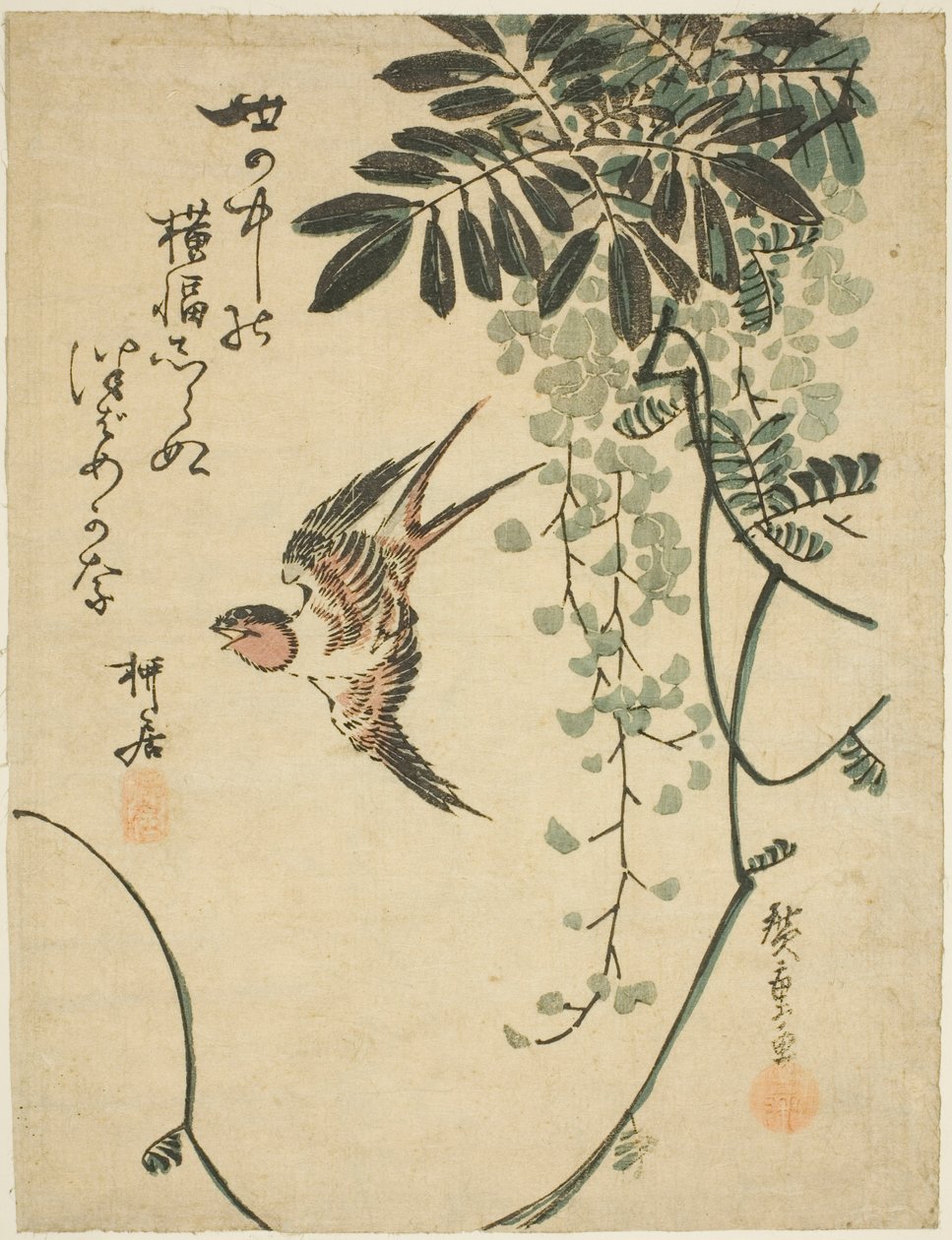 ツバメと藤 作： 歌川広重