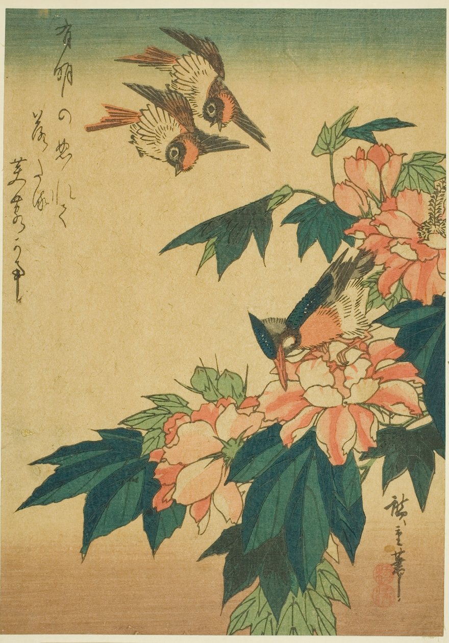 ツバメ、カワセミ、ハイビスカス 作： 歌川広重