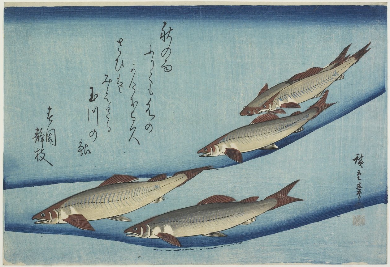 アユ、1832-1833 作： 歌川広重
