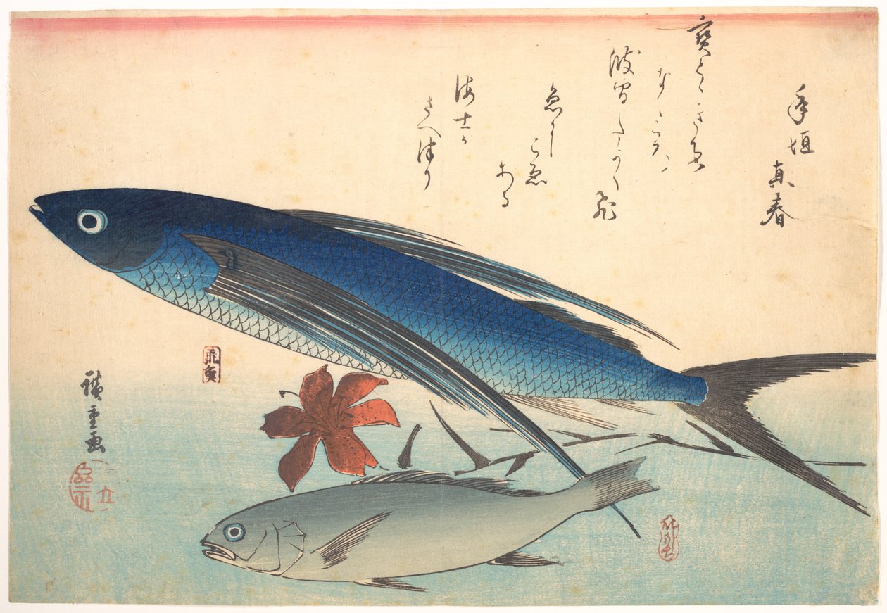 魚づくし（あらゆる種類の魚）より、トビウオとイシモチ 作： 歌川広重
