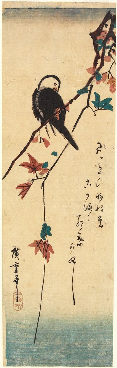 カエデの枝に止まる白い頭の鳥 作： 歌川広重