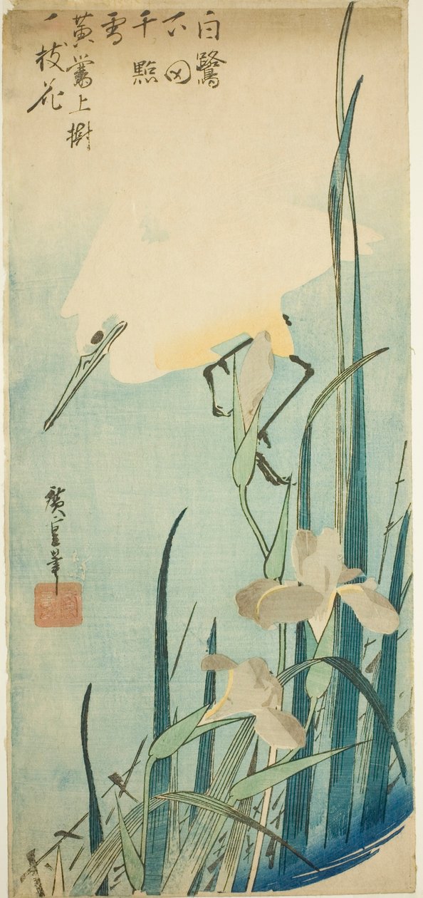 白鷺と菖蒲 作： 歌川広重