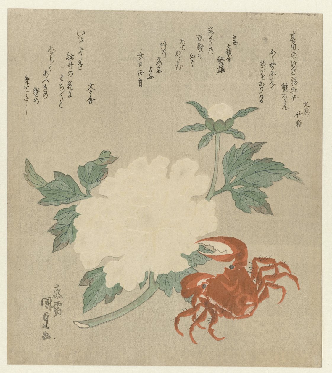 カニ入り牡丹 作： 歌川国貞（初代）
