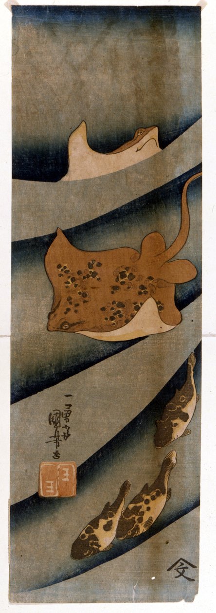 歌川国芳(1797-1861)が魚を描いた版画。 作： 歌川国芳