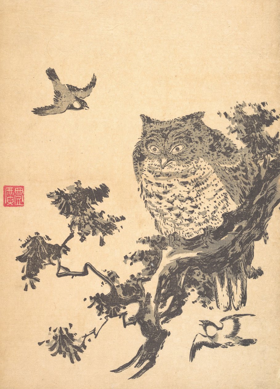 フクロウと 2 つのツバメ。 作： 歌川豊弘