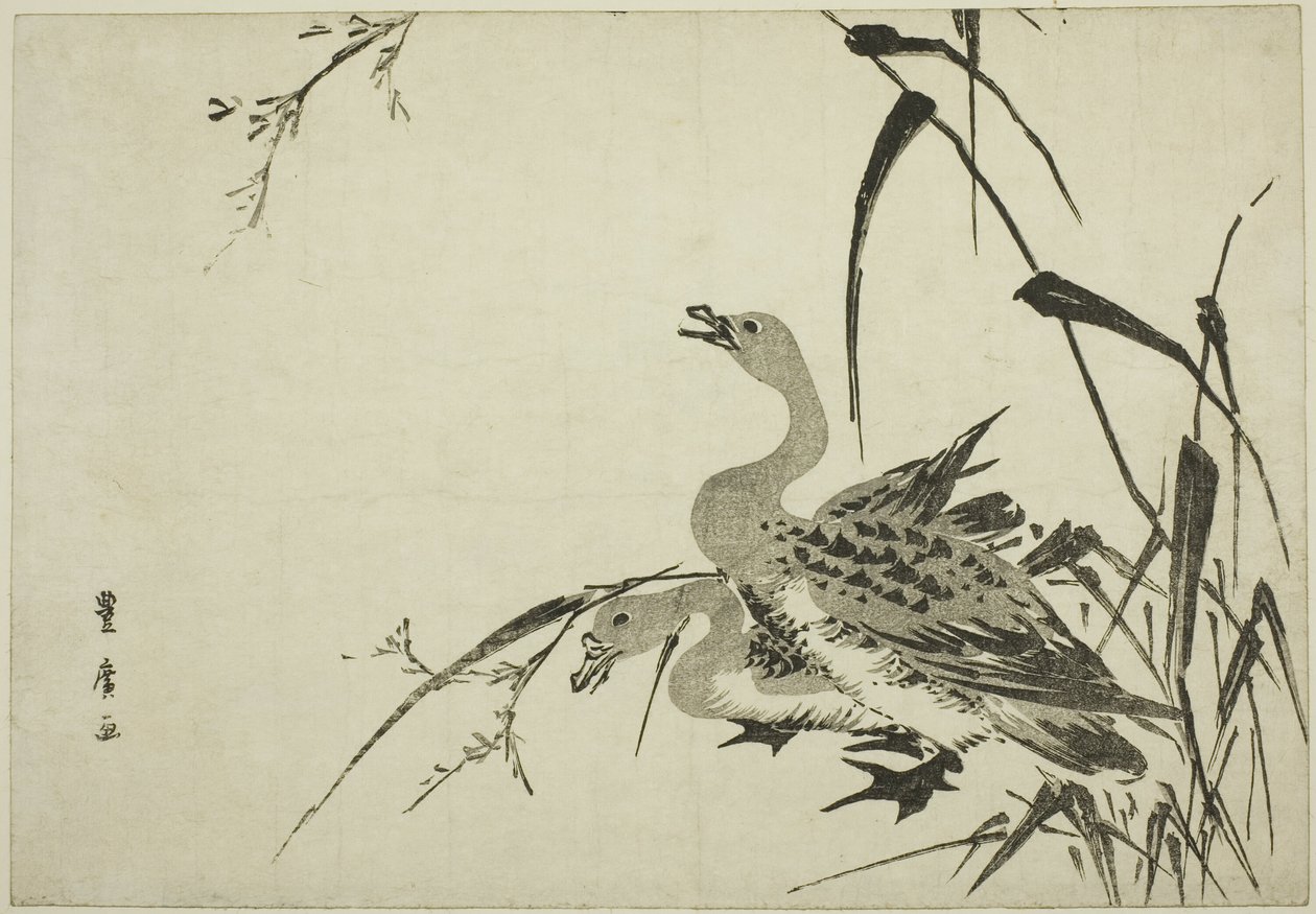 雁と葦 作： 歌川豊弘