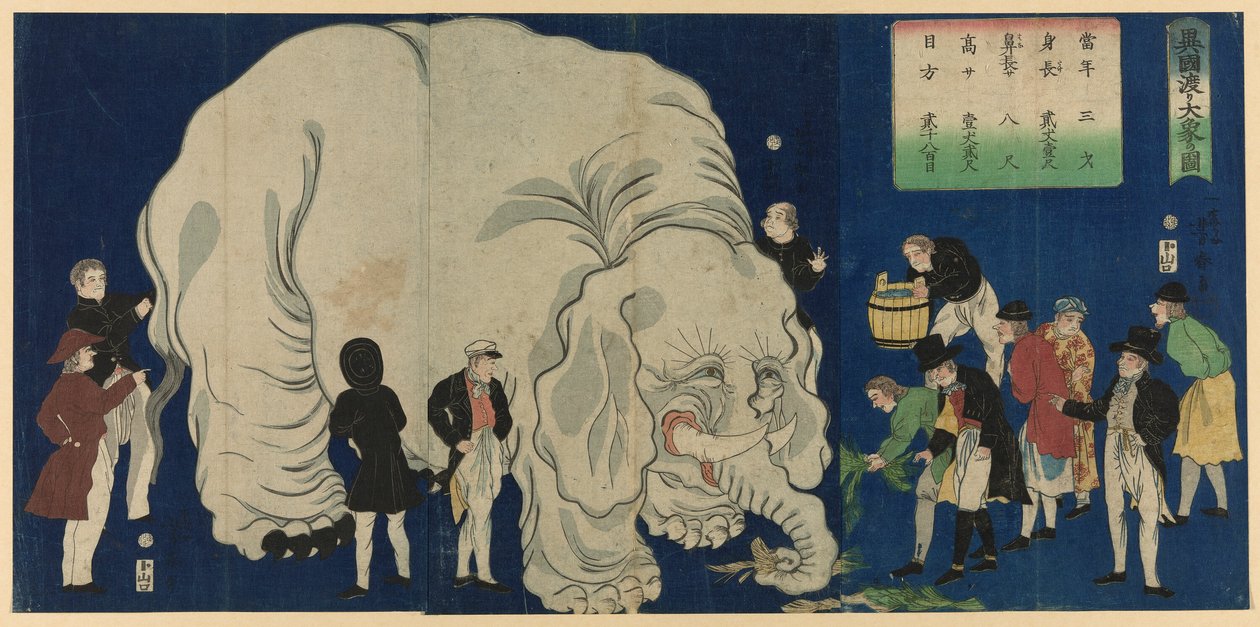 異国渡り大象の図 作： 歌川義春