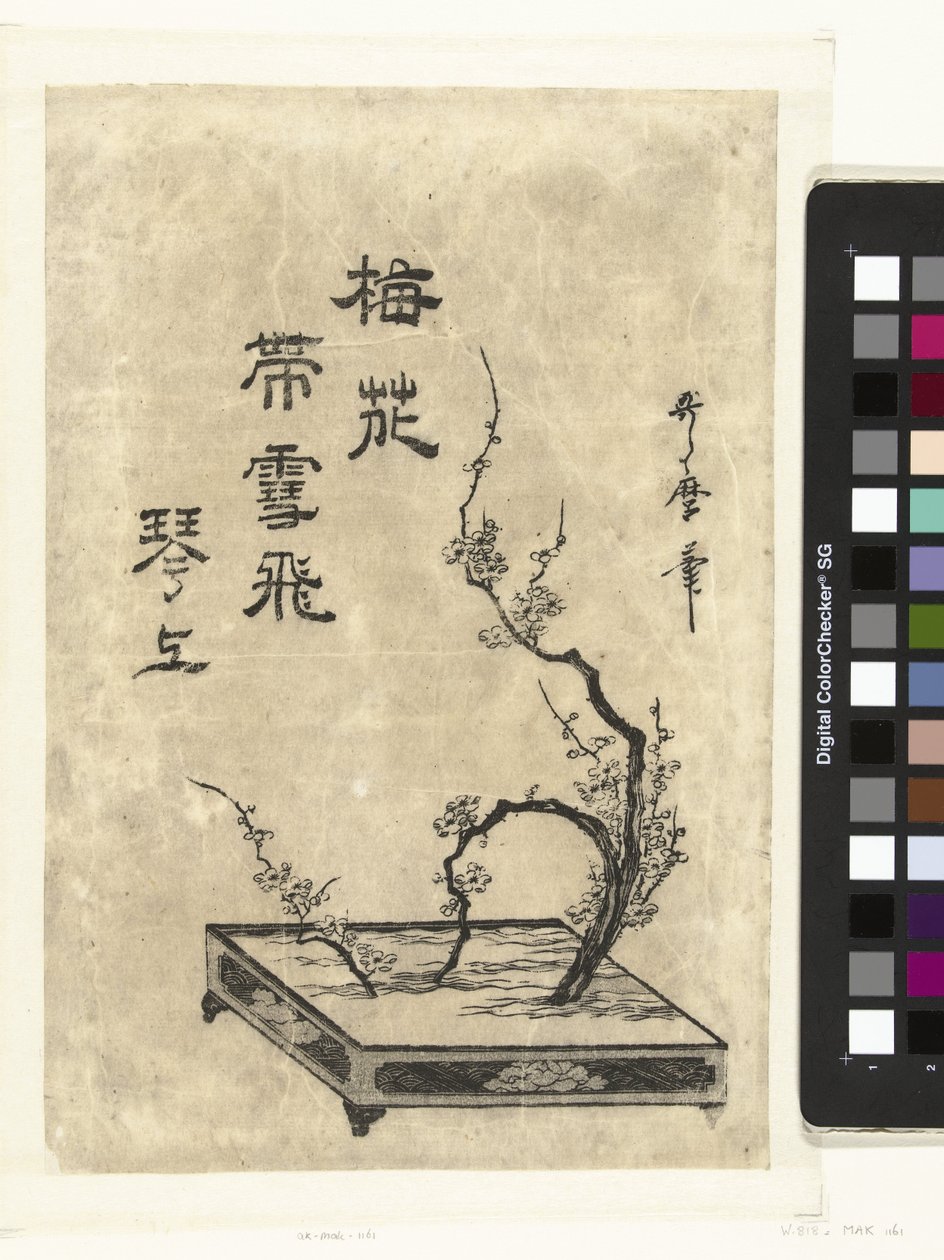 梅の枝 作： 歌麿（II）、北川（帰属）