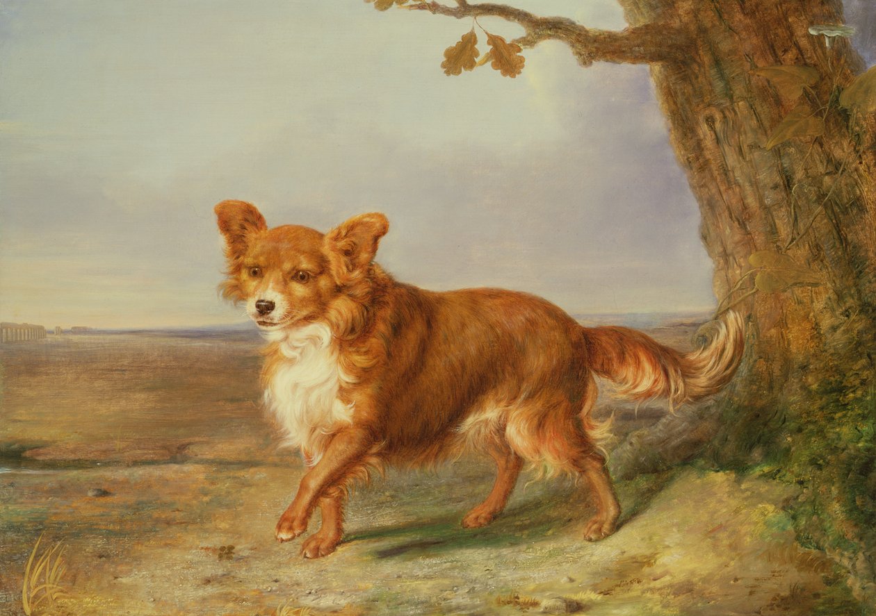 イタリアの風景の中の犬の肖像画 作： ヴァラティ