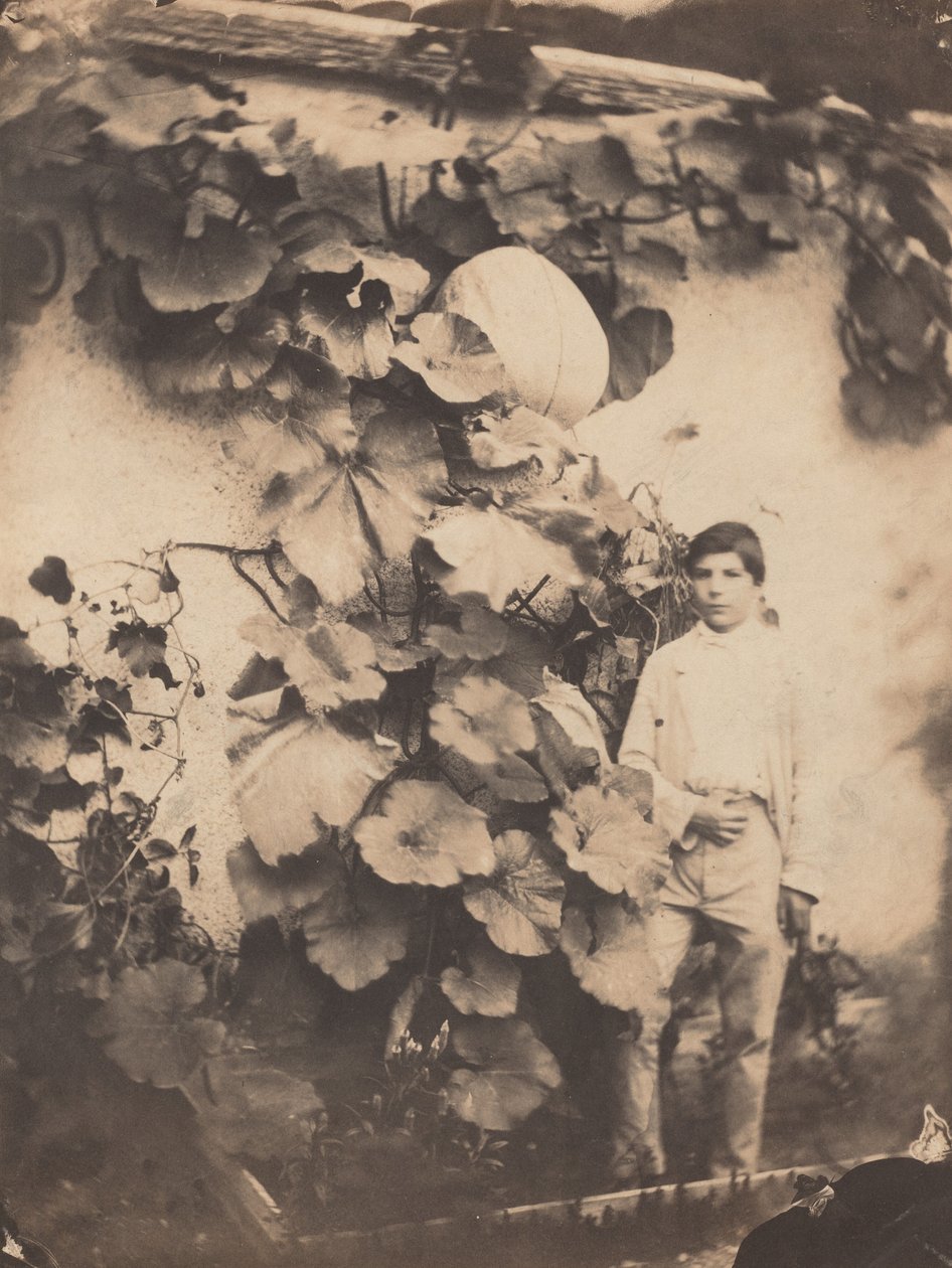 かぼちゃのつるを持つ少年、1854年。 作： ヴァリン・フレール