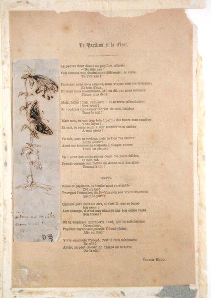 Le Papillon et la Fleur、レシャンデュクレプスキュールの蝶のイラストが描かれた詩 作： ビクター・ユーゴー