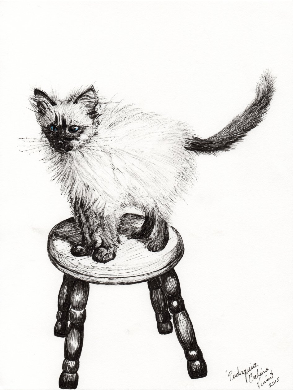 Pudsquiz Belina、2015年（紙にインク） 作： ヴィンセントアレクサンダーブース