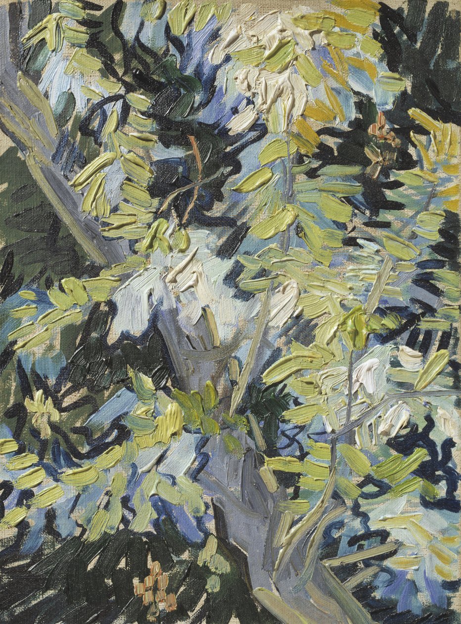 花のアカシア、1889年 作： ヴィンセント・ヴァン・ゴッホ