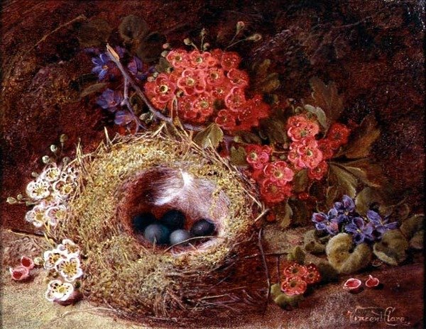 鳥の巣と花の静物画 作： ヴィンセントクレア
