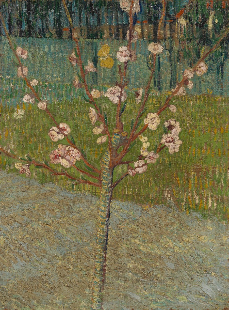 花咲くアーモンドの木 作： ヴィンセント・ヴァン・ゴッホ