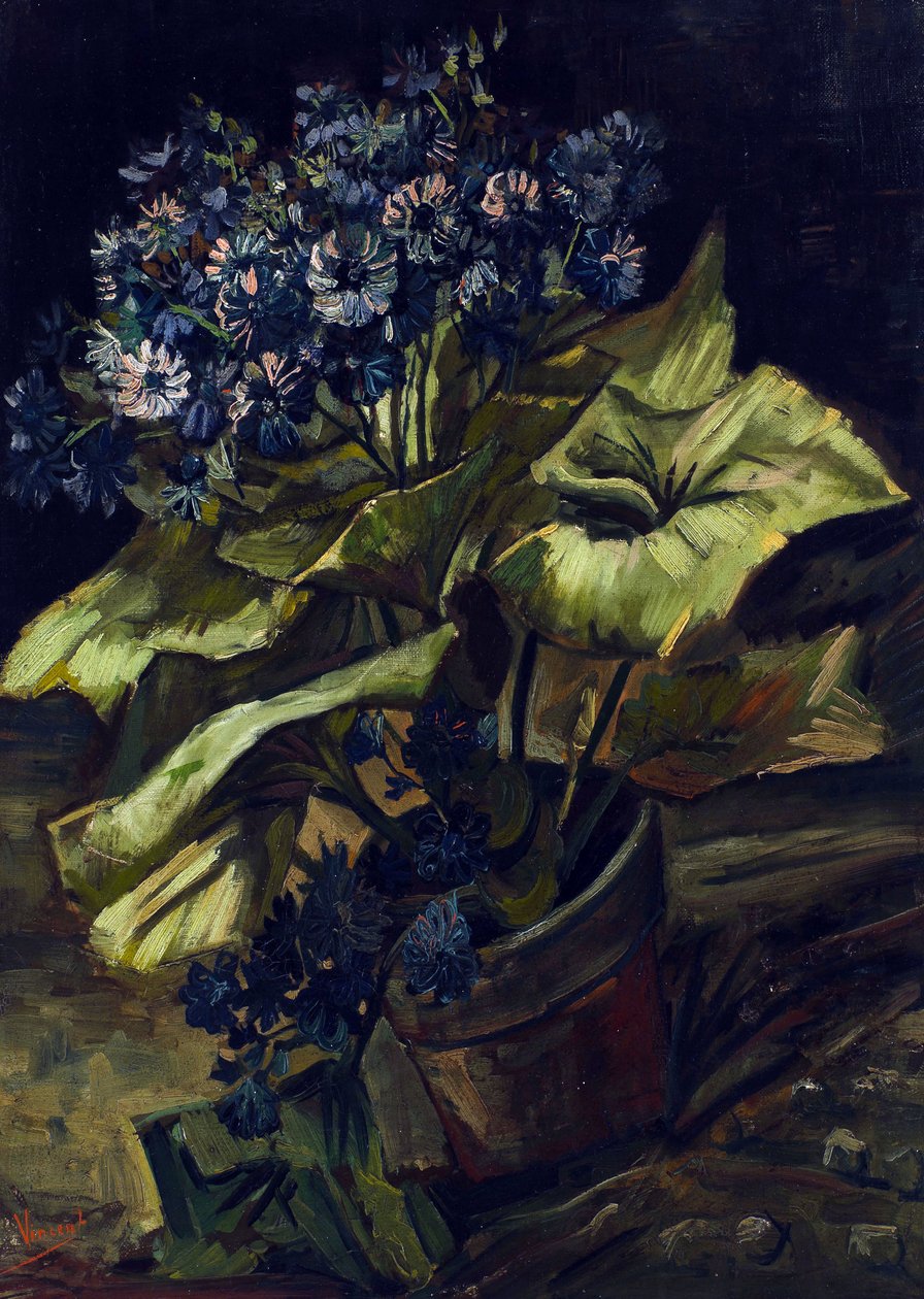 植木鉢のシネラリア 作： ヴィンセント・ヴァン・ゴッホ