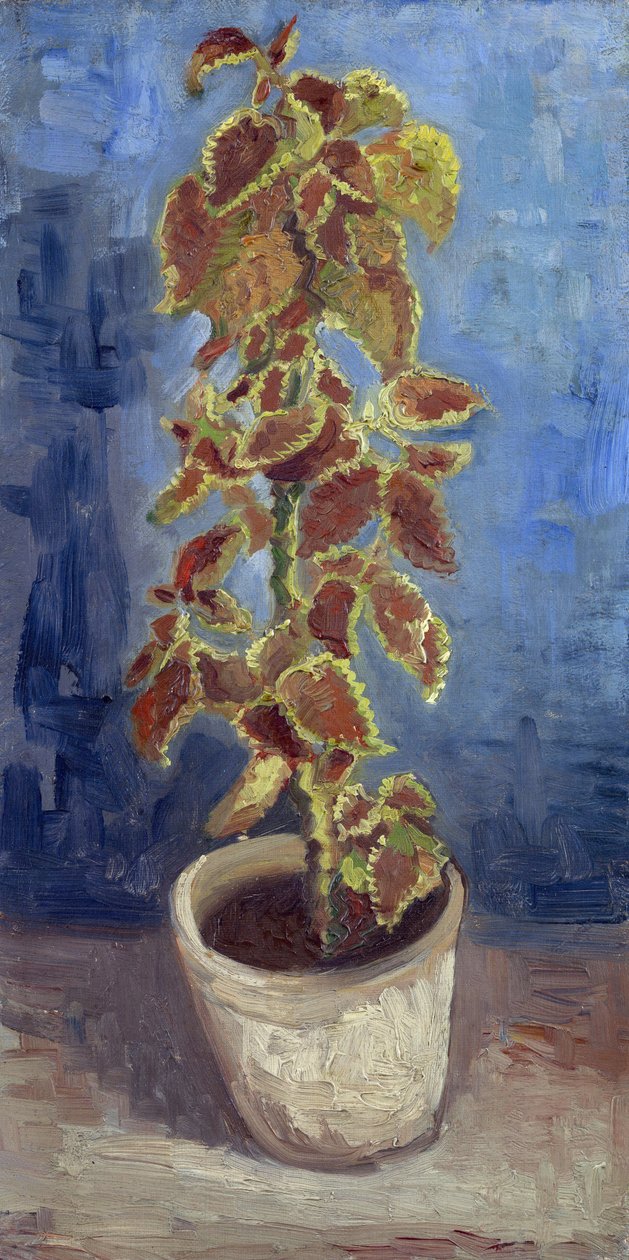 植木鉢の中の炎のイラクサ par Gogh, Vincent, van (1853-1890).キャンバスに油彩、サイズ：42,1x21,9 作： ヴィンセント・ヴァン・ゴッホ