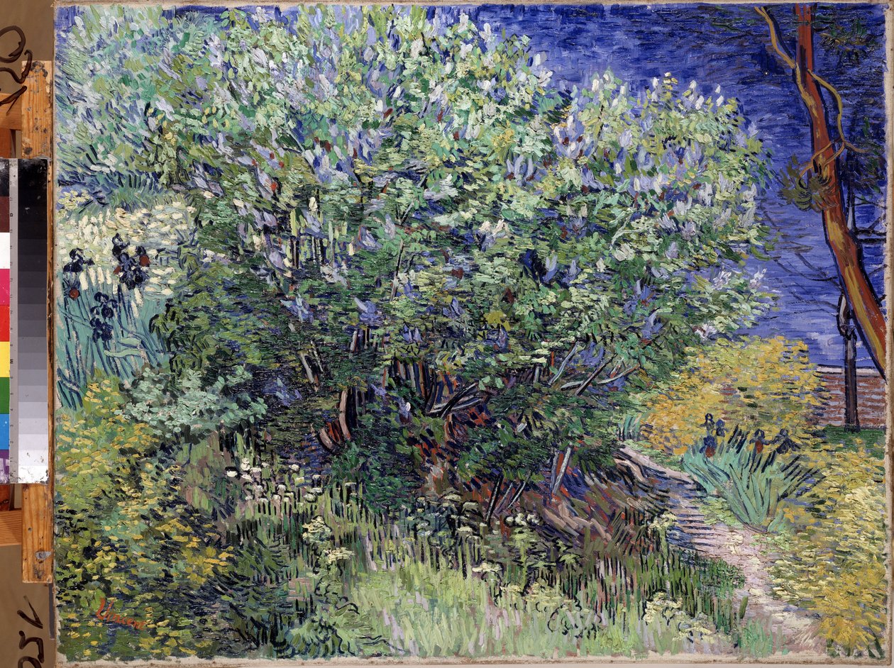 「ライラックの茂み」 (ライラックの茂み) Vincent van Gogh (1853-1890) による絵画 1889 Dim. 72x92 cm エルミタージュ美術館、サンクトペテルブルク (サンクトペテルブルク) 作： ヴィンセント・ヴァン・ゴッホ