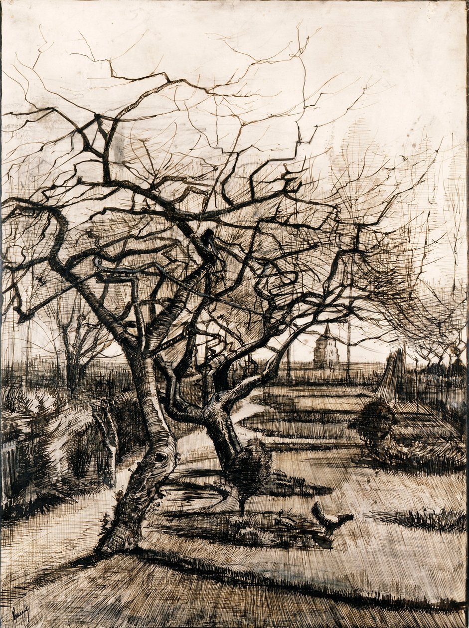 The Parsonage Garden at Nuenen in Winter - Oeuvre de Vincent, van Gogh (1853-1890) - 1884 - ペン、ブラシ、インク、紙 - 51,5x38 - Szepmuveszeti Muzeum, Budapest 作： ヴィンセント・ヴァン・ゴッホ