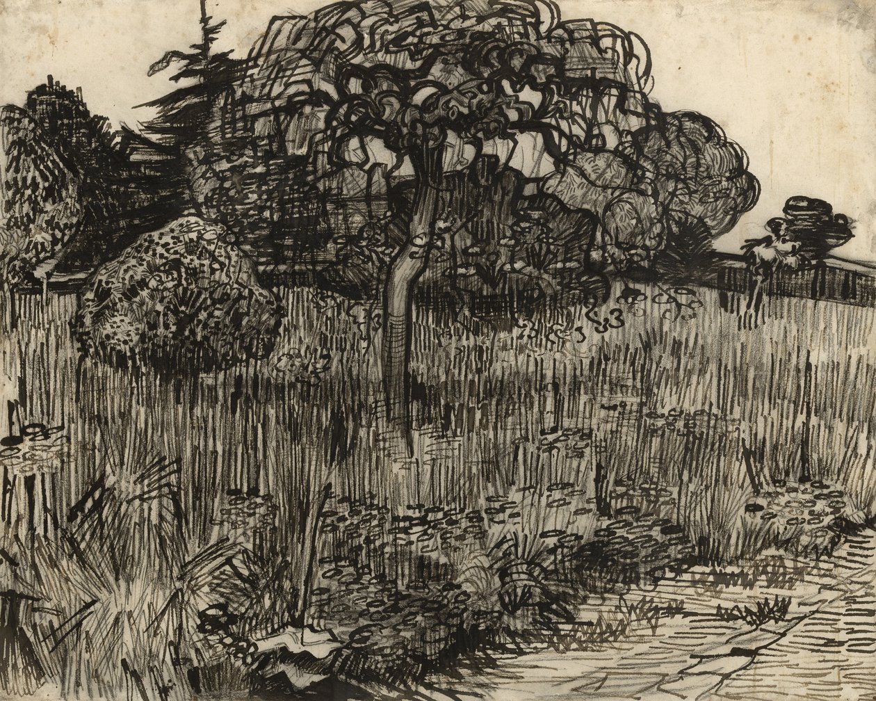 しだれの木、1889 作： ヴィンセント・ヴァン・ゴッホ