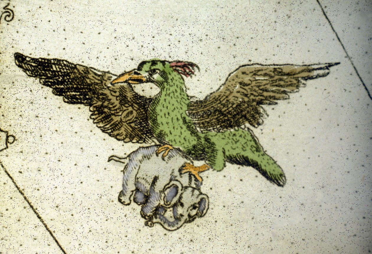 巨鳥ロクが象を子孫に与えるために温室の間に運ぶ、ヴィンチェンツォ・コロネッリ（1650-1718）作の世界地図の細部。17世紀 作： ヴィンチェンツォ・マリア・コロネリ