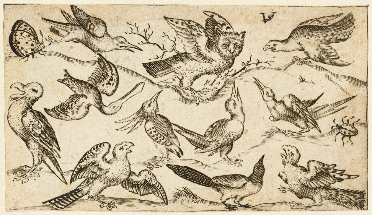 最小限の地面に 11 羽の鳥と 2 羽の昆虫と翼を広げたフクロウ..., 1572. 作： ヴァージルソリス