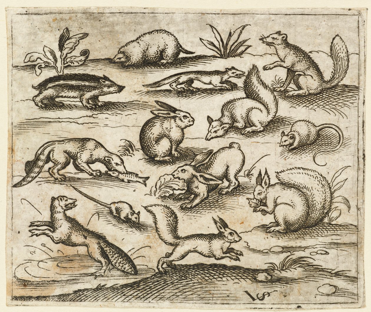 ネズミを含む、池の周りを食べたり走ったりする小さな森の生き物のグループ., 1557. 作： ヴァージルソリス