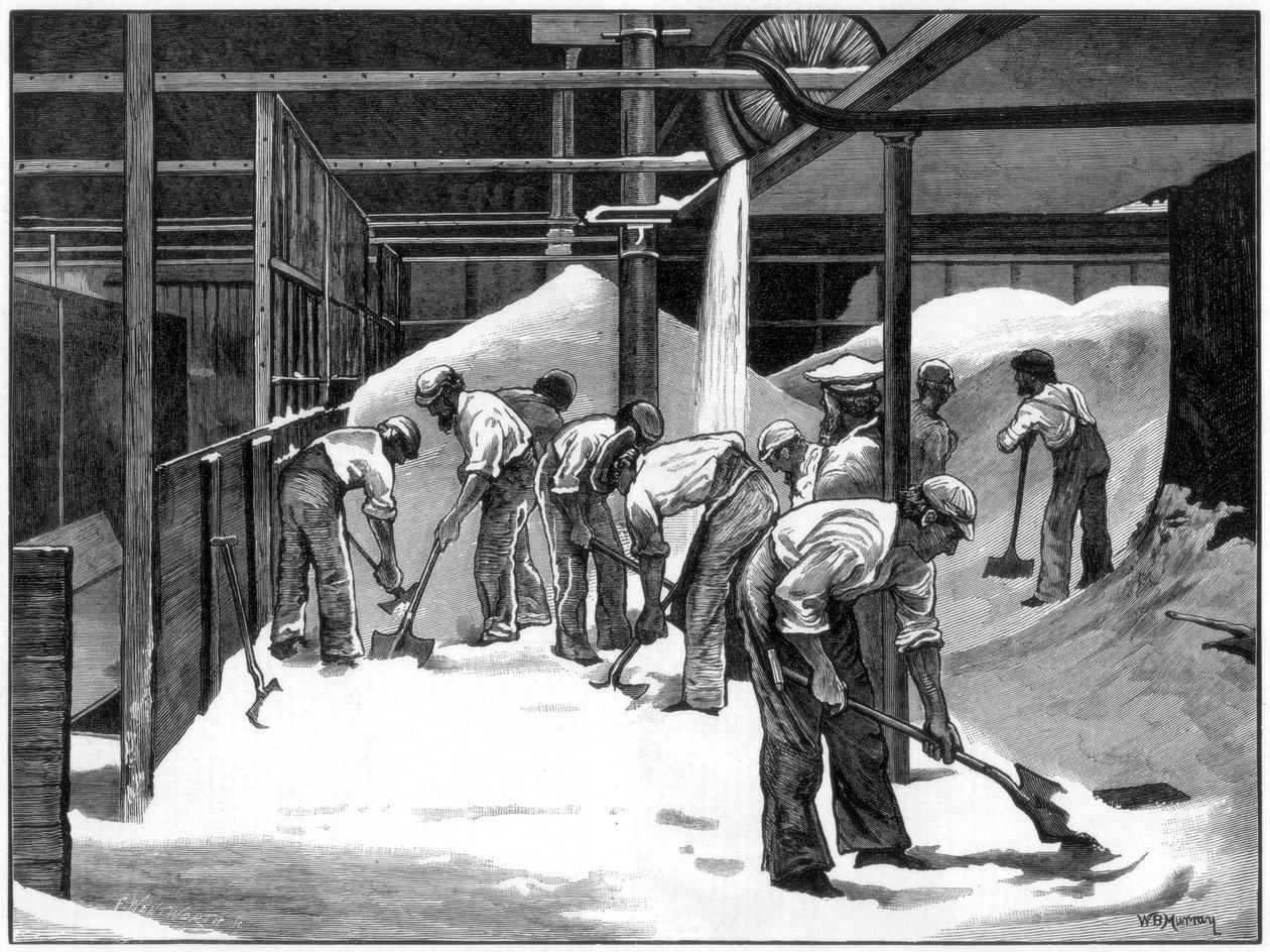 1873年、ブリストルにあるカウンタースリップ製糖所での砂糖作り。 作： WBマレー