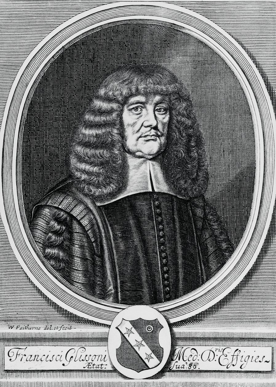 イギリスの物理学者、解剖学者、医師であるフランシス・グリッソン（1597-1677）の肖像、エングレーヴィング 作： WG（後）セイヤー