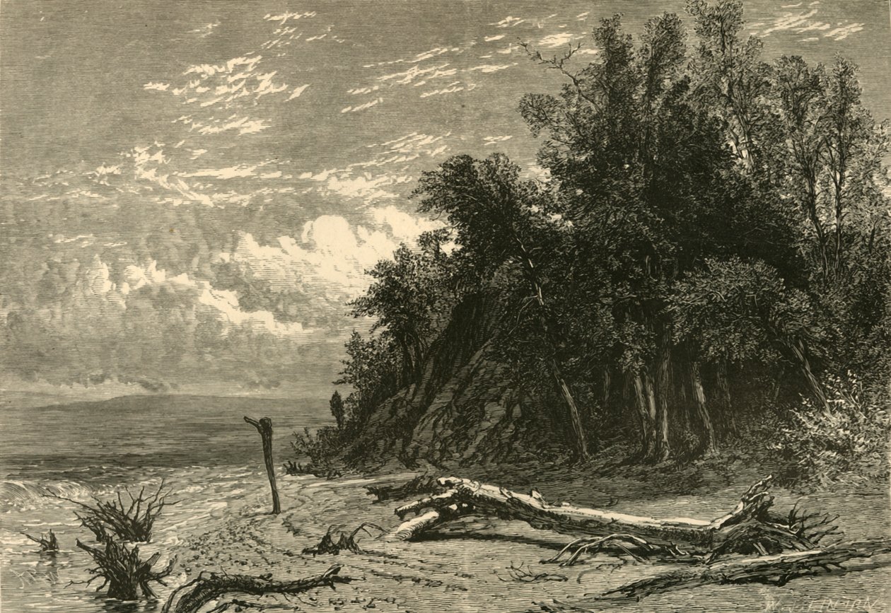 The Shore at Lake Forest」1874年。   作： WJリントン