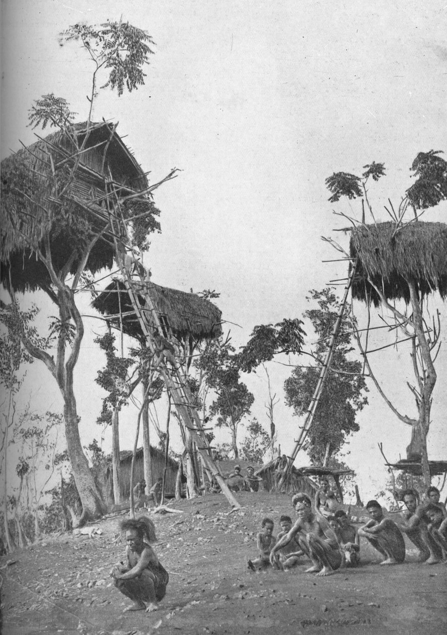 ドボ、メラネシアの未婚女性のための木の家、1902 作： W・リント
