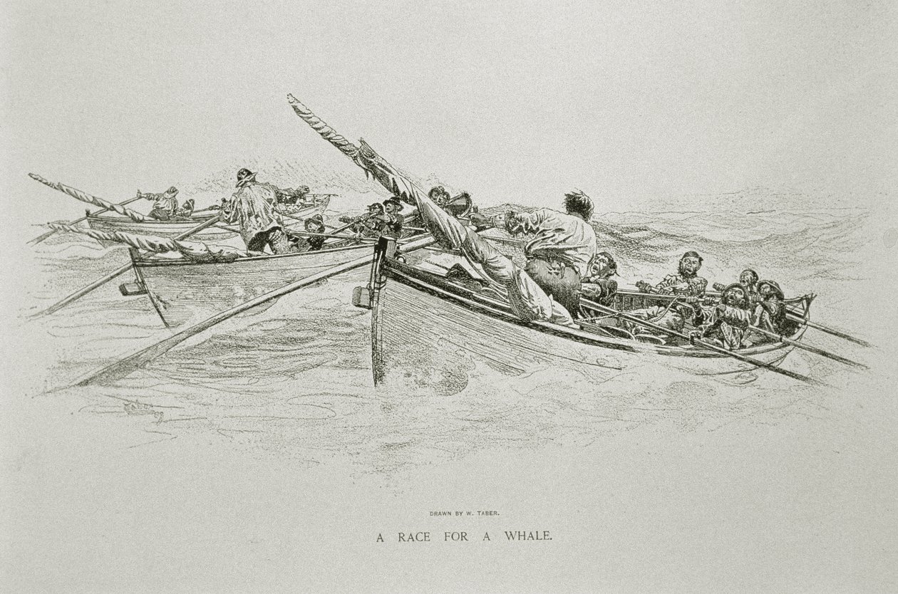 A Race for a Whale」（『Century Magazine』1890年6月号の「The Perils and Romance of Whaling」用）（リトグラフ版 作： W.テーバー