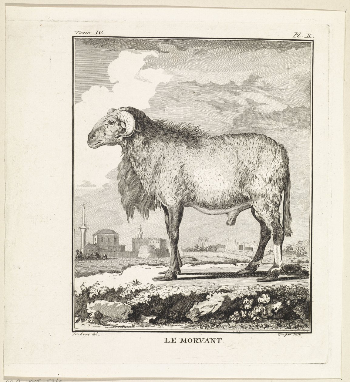 Ram Le Morvant (title on object)   1377588   ja       japanese Successfully Translated  Original: The Triumph of Death, plate five from The Triumphs of Petrarch Translat: The Triumph of Death, plate five from The Triumphs of Petrarch 1281737 ja japanese Su 作： W.トリンガム